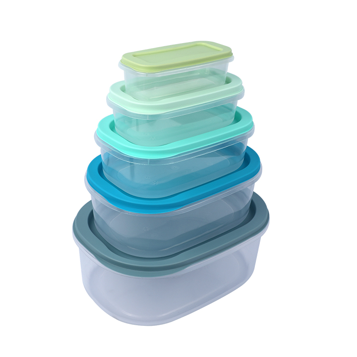 Buy 5-Piece Lid & Lid Rtg Container Set - Durable, Space-Saving Storage - UAE at Best Price In Bangladesh