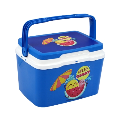 Buy Thermal Ice Box -5 L at Best Price in Bangladesh