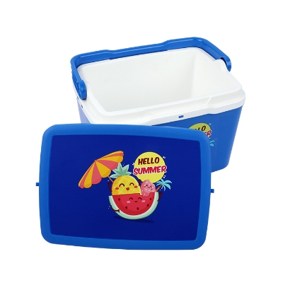 Buy Thermal Ice Box -5 L at Best Price in Bangladesh