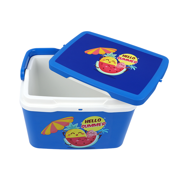 Buy Thermal Ice Box -5 L at Best Price in Bangladesh