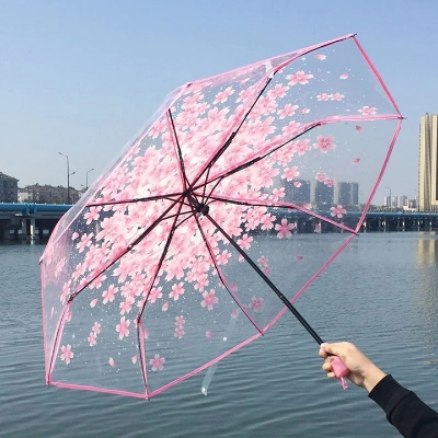 Buy Transparent Umbrella best price in Bangladesh