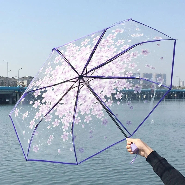 Buy Transparent Umbrella best price in Bangladesh