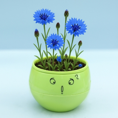 Picture of Planting set for kids Educational way of plantig trees for kids