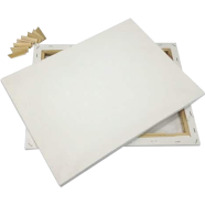 Buy white-premium-canvas-1012-inch at Best Prices in Bangladesh