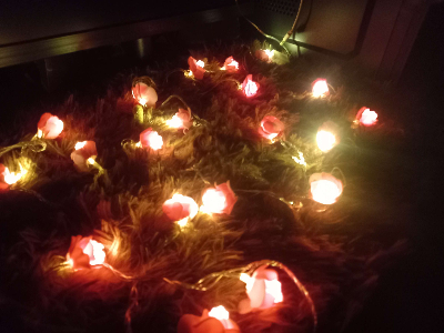  ফেইরী লাইট হট পিংক গোলাপের ২০ পিস USB Cable সহ যেকোন কিছুর অনুষ্ঠানে আলোকসজ্জায় ব্যবহার করা হয়। 