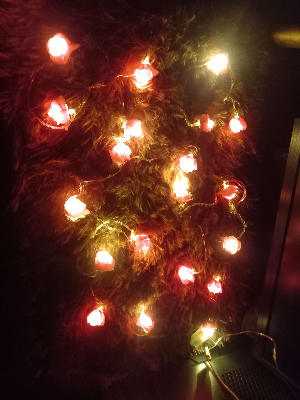  ফেইরী লাইট হট পিংক গোলাপের ২০ পিস USB Cable সহ যেকোন কিছুর অনুষ্ঠানে আলোকসজ্জায় ব্যবহার করা হয়। 