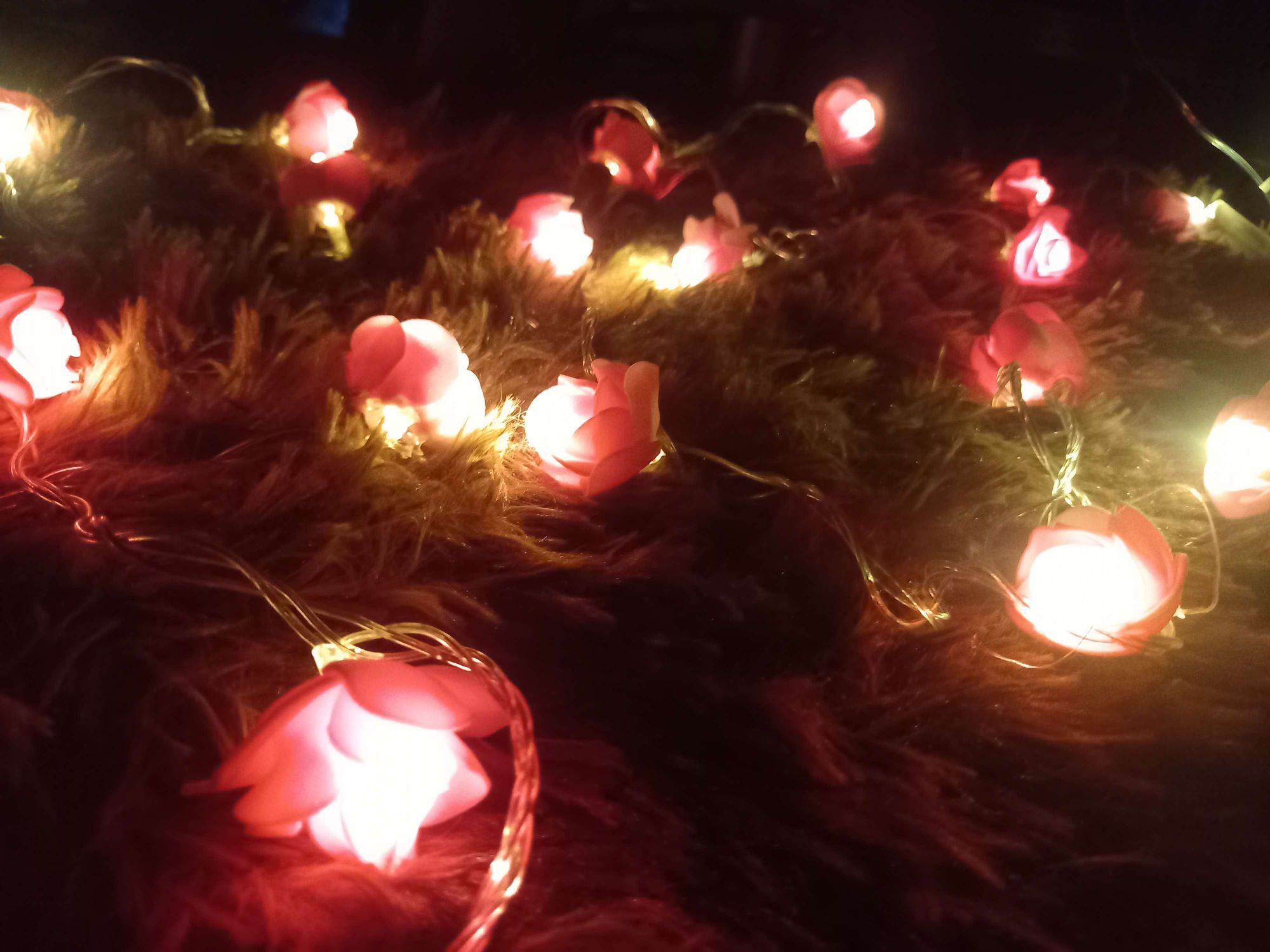  ফেইরী লাইট হট পিংক গোলাপের ২০ পিস USB Cable সহ যেকোন কিছুর অনুষ্ঠানে আলোকসজ্জায় ব্যবহার করা হয়। 