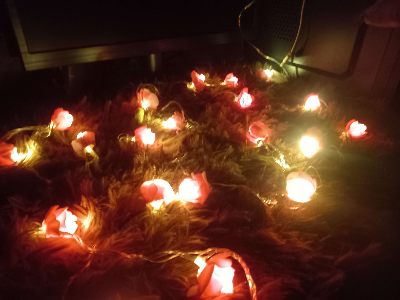  ফেইরী লাইট হট পিংক গোলাপের ২০ পিস USB Cable সহ যেকোন কিছুর অনুষ্ঠানে আলোকসজ্জায় ব্যবহার করা হয়। 