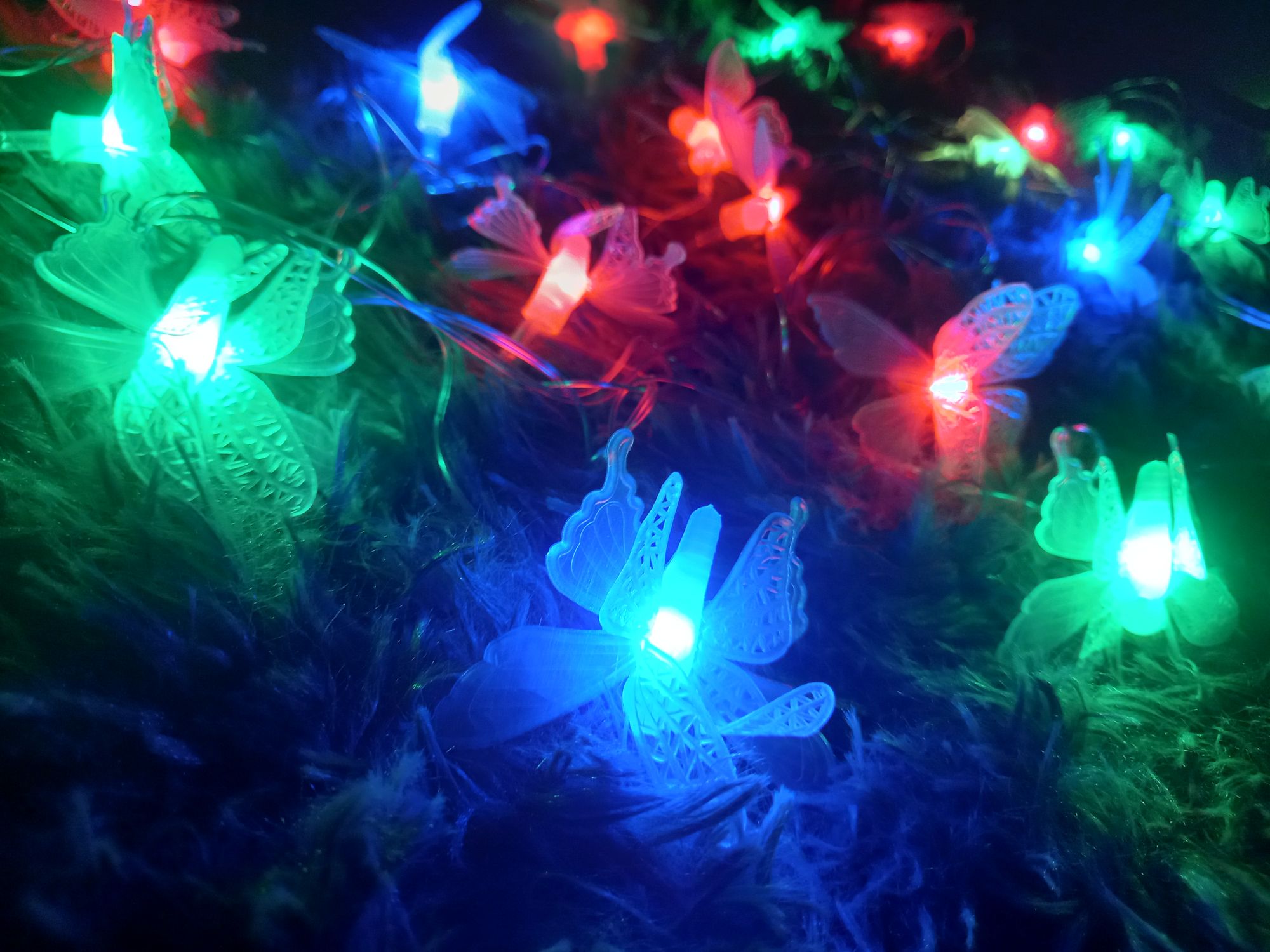 Buy  প্রজাপতি ফেইরী লাইট মাল্টি কালার চেইঞ্জ প্লাগ দেওয়া সরাসরি কারেন্টে চলবে, প্রজাপ্রতি ২০ পিস,তার ১২ ফিটে।   at Best Prices in Bangladesh