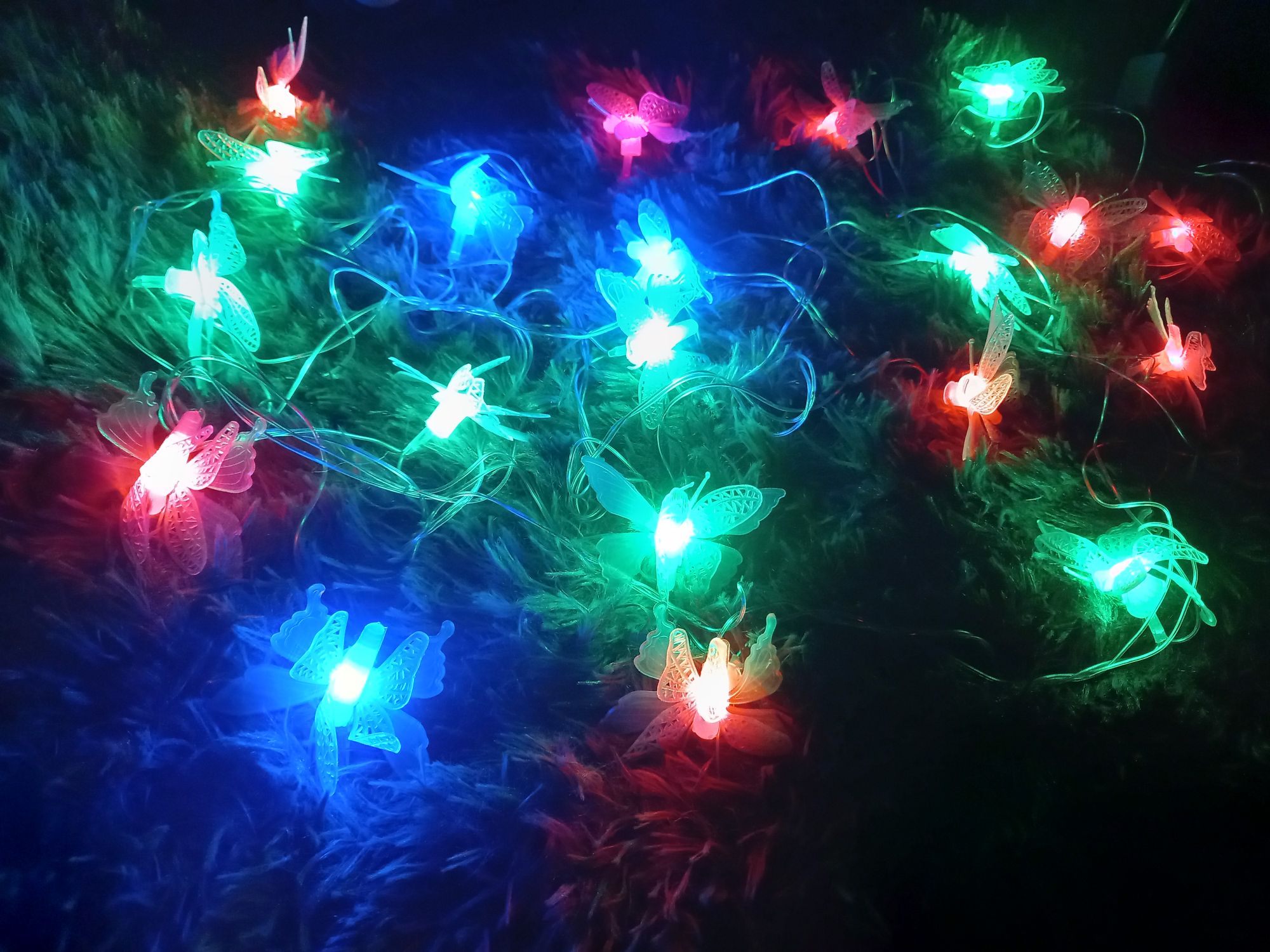 Buy  প্রজাপতি ফেইরী লাইট মাল্টি কালার চেইঞ্জ প্লাগ দেওয়া সরাসরি কারেন্টে চলবে, প্রজাপ্রতি ২০ পিস,তার ১২ ফিটে।   at Best Prices in Bangladesh