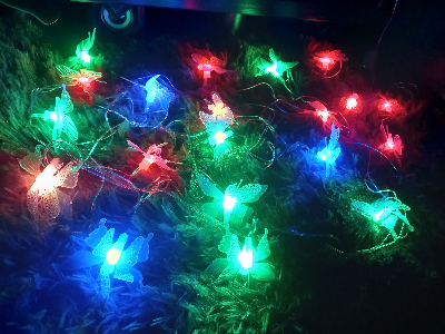 Buy  প্রজাপতি ফেইরী লাইট মাল্টি কালার চেইঞ্জ প্লাগ দেওয়া সরাসরি কারেন্টে চলবে, প্রজাপ্রতি ২০ পিস,তার ১২ ফিটে।   at Best Prices in Bangladesh