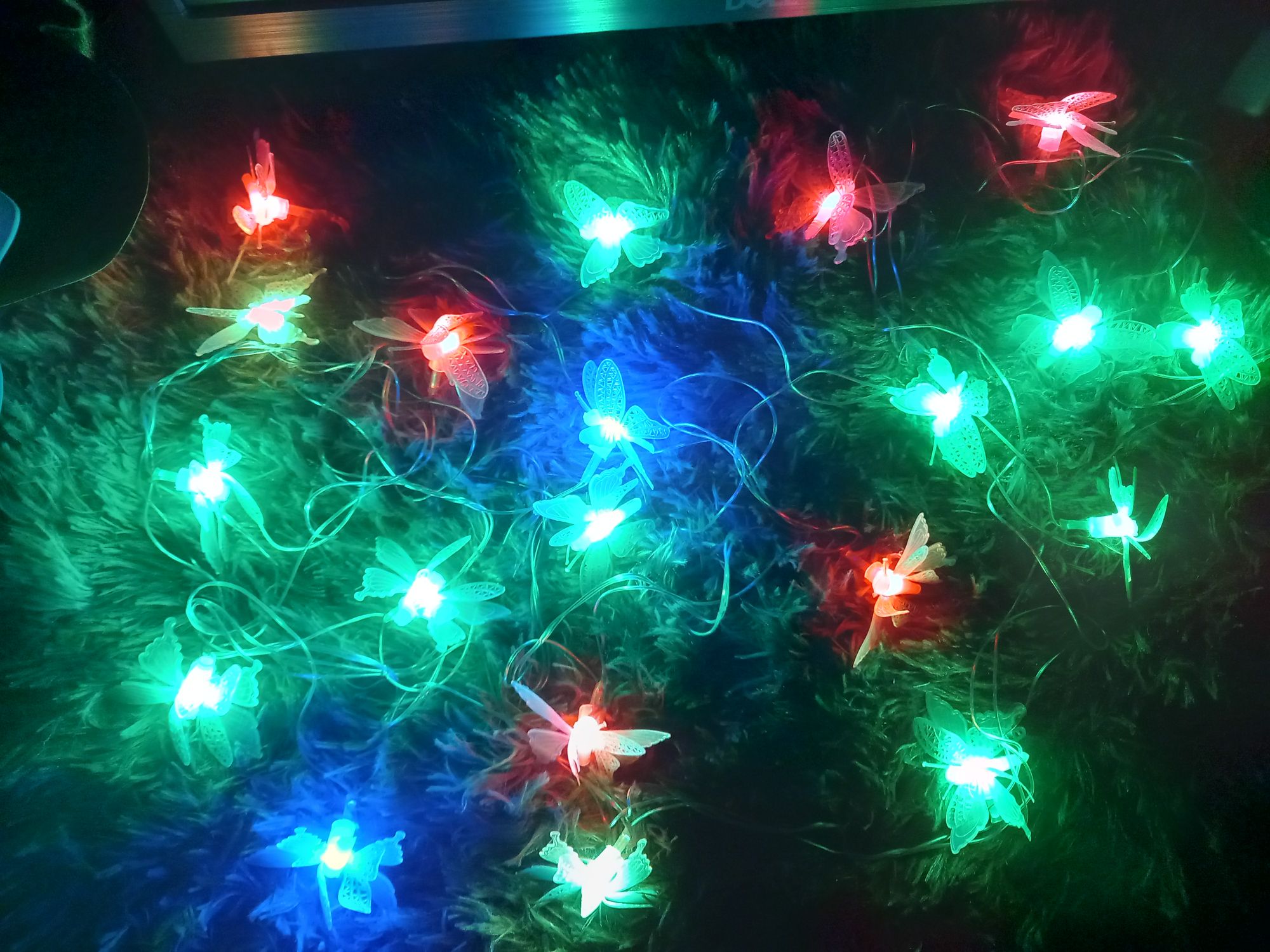 Buy  প্রজাপতি ফেইরী লাইট মাল্টি কালার চেইঞ্জ প্লাগ দেওয়া সরাসরি কারেন্টে চলবে, প্রজাপ্রতি ২০ পিস,তার ১২ ফিটে।   at Best Prices in Bangladesh