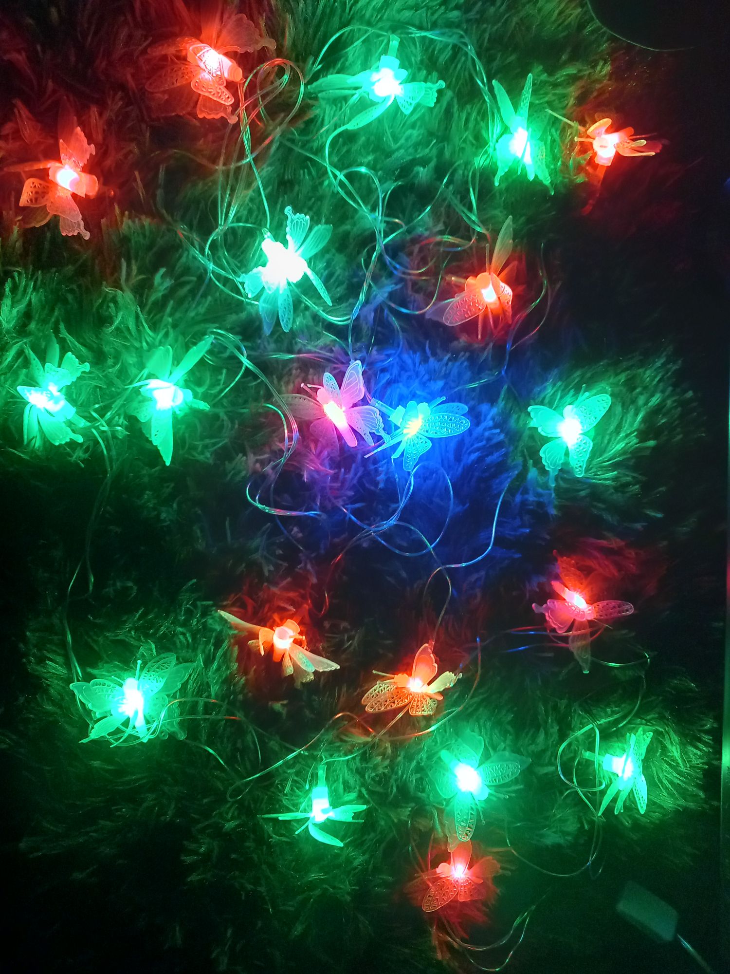 Buy  প্রজাপতি ফেইরী লাইট মাল্টি কালার চেইঞ্জ প্লাগ দেওয়া সরাসরি কারেন্টে চলবে, প্রজাপ্রতি ২০ পিস,তার ১২ ফিটে।   at Best Prices in Bangladesh