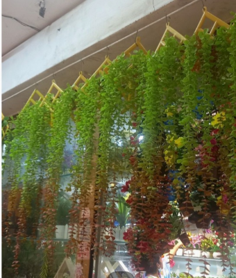 Buy    Artificial Lota or creeper 1 pieces green red mix colour with hanger free unique model for room and wall decorations    at Best Prices in Bangladesh