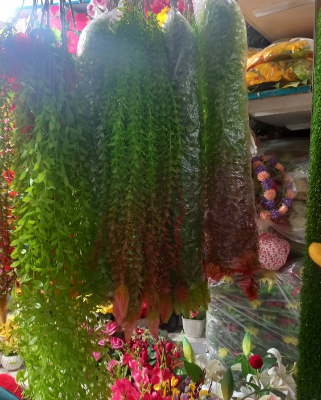 Buy    Artificial Lota or creeper 1 pieces green red mix colour with hanger free unique model for room and wall decorations    at Best Prices in Bangladesh