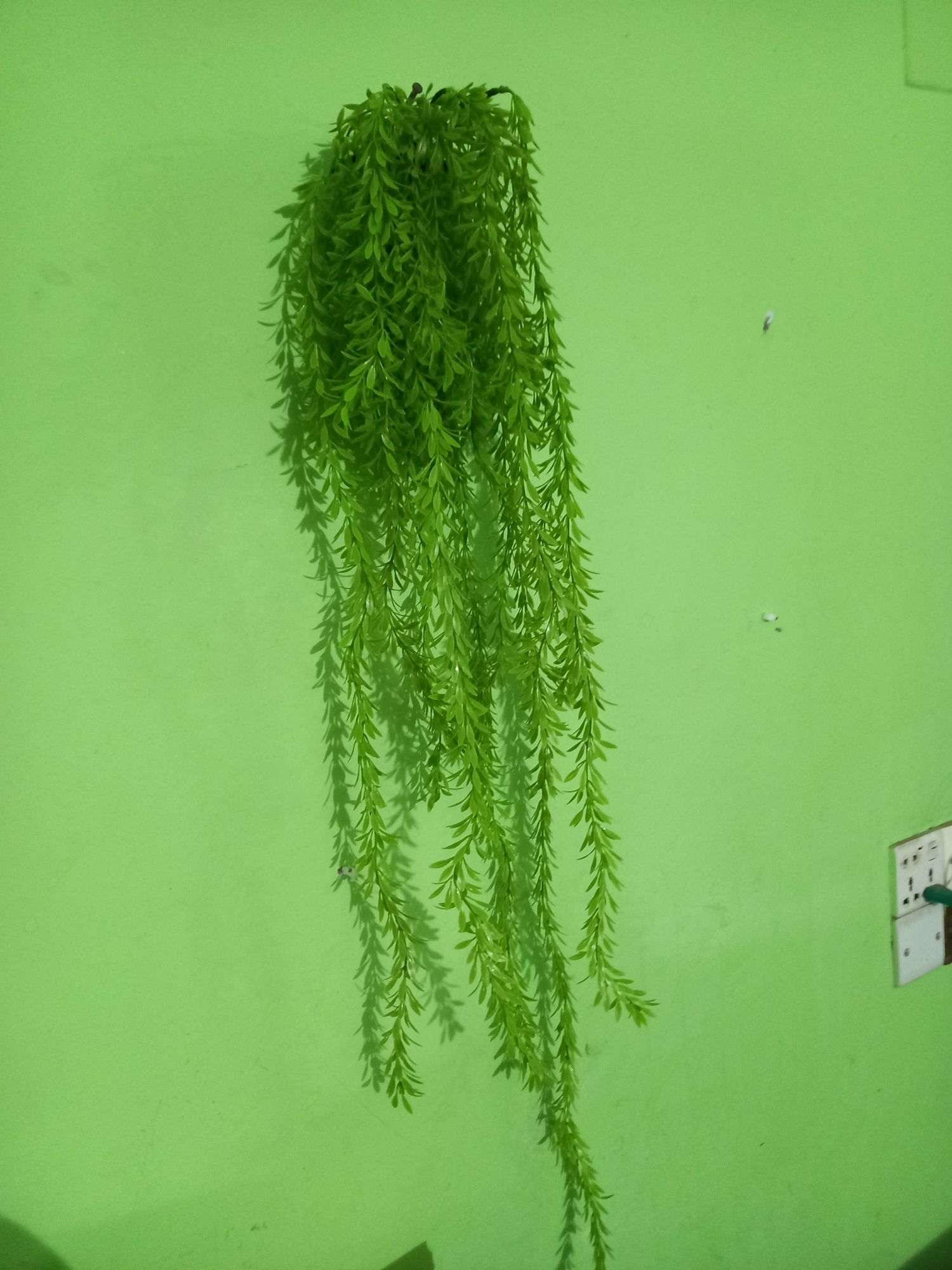 Buy Artifical Green Juri style Creeper Hanging For Room decoration.  at Best Prices in Bangladesh