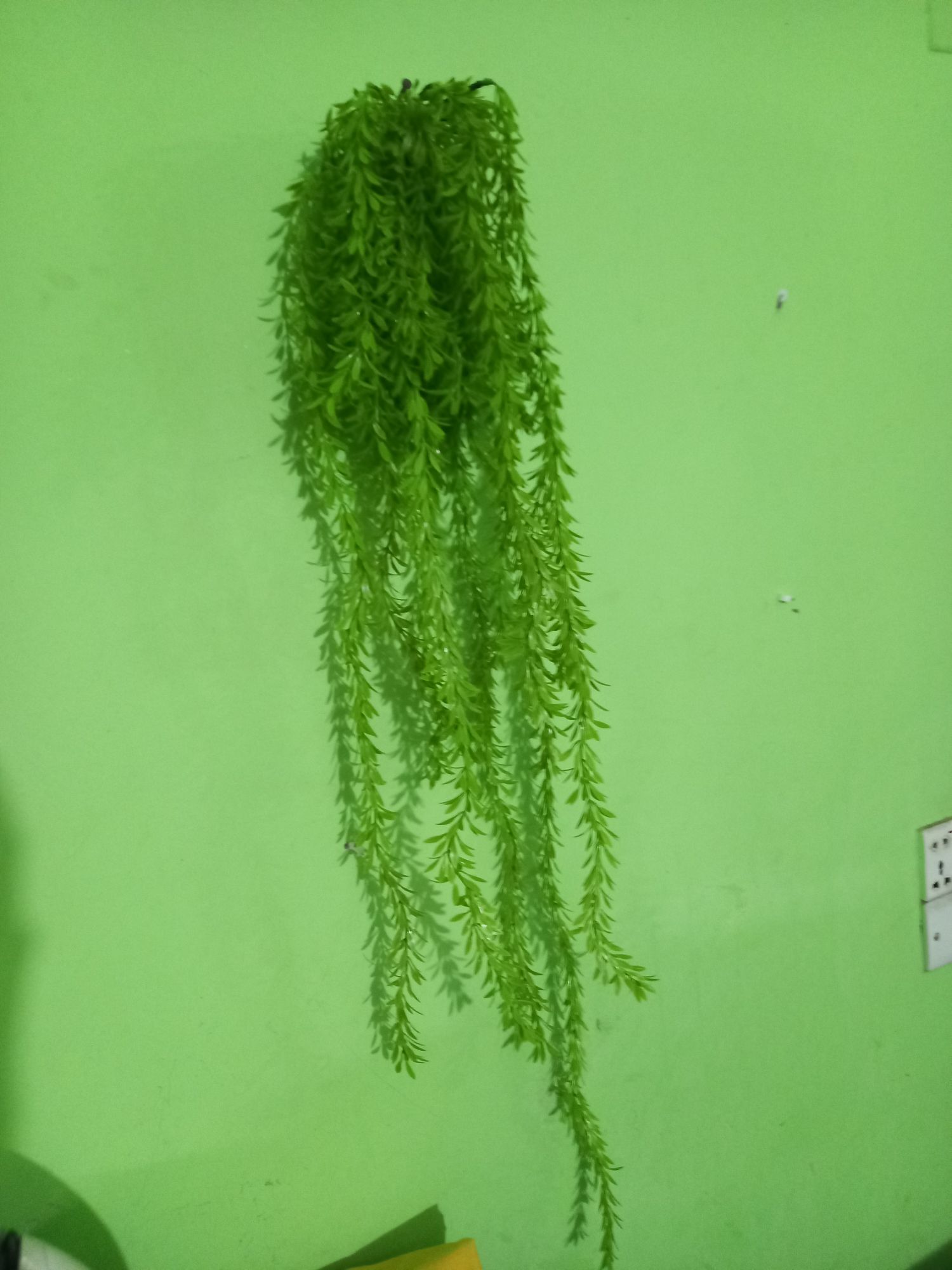 Buy Artifical Green Juri style Creeper Hanging For Room decoration.  at Best Prices in Bangladesh