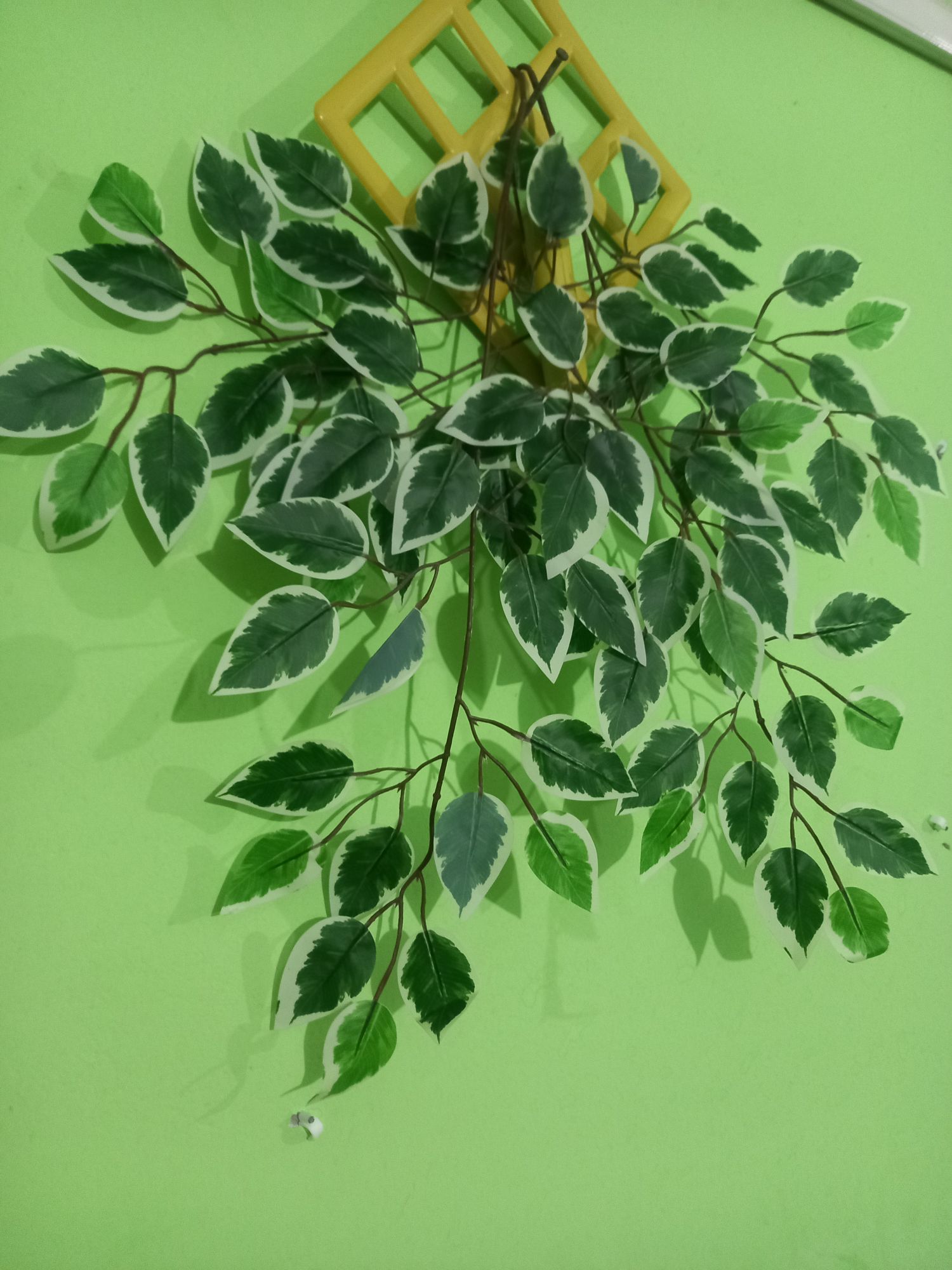 Buy  Artifical Leaf 2 pieces Mix Multicolor Green and White with Hanger Free  at Best Prices in Bangladesh