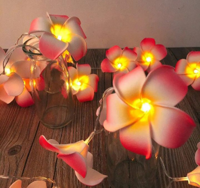 Buy Decorative katgolap String/ Fairy lights unique model for room decoration at Best Prices in Bangladesh