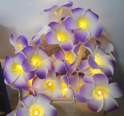 Buy Decorative katgolap String/ Fairy lights unique model for room decoration at Best Prices in Bangladesh