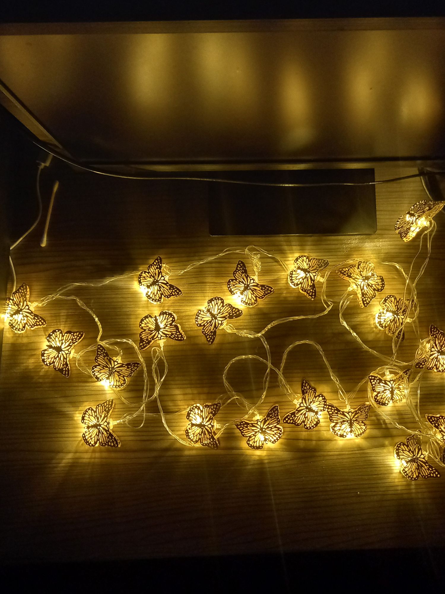 Buy Butterfly Fairy light 12 Feet long metal for decorating the house Enovative Design.  at Best Prices in Bangladesh