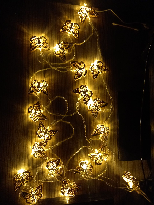 Buy Butterfly Fairy light 12 Feet long metal for decorating the house Enovative Design.  at Best Prices in Bangladesh