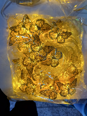Buy Butterfly Fairy light 12 Feet long metal for decorating the house Enovative Design.  at Best Prices in Bangladesh