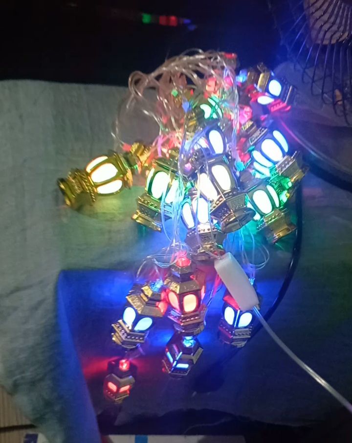 Buy  Home decorative Hariken Jarbati wholesale price Because we imports light from direct China. rice Because we can import this light from direct China at Best Prices in Bangladesh