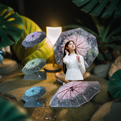 Picture of Transparent Clear Umbrella 3 Fold