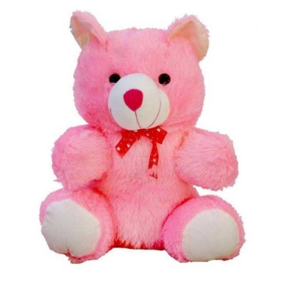 Picture of Pink Teddy Bear And Heart Shape Pillow Lover & Best Gift - Super Soft Buy 1 Get 1 Free