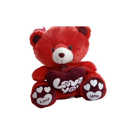 Picture of Extra Medium Big Teddy Bear