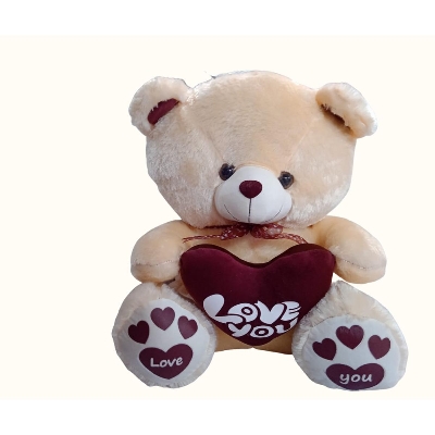 Picture of Extra Medium big Teddy Bear