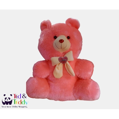 Picture of Teddy Bear Soft plush doll For Kids