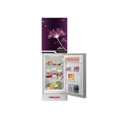 Picture of MYONE MY-175 Liter Frost Bottom Mount Perfume Lily Black Match Refrigerator