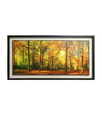 Buy  Wooden Photo Frame/Canvas-Forest (41x21inch)   Online at Best Price