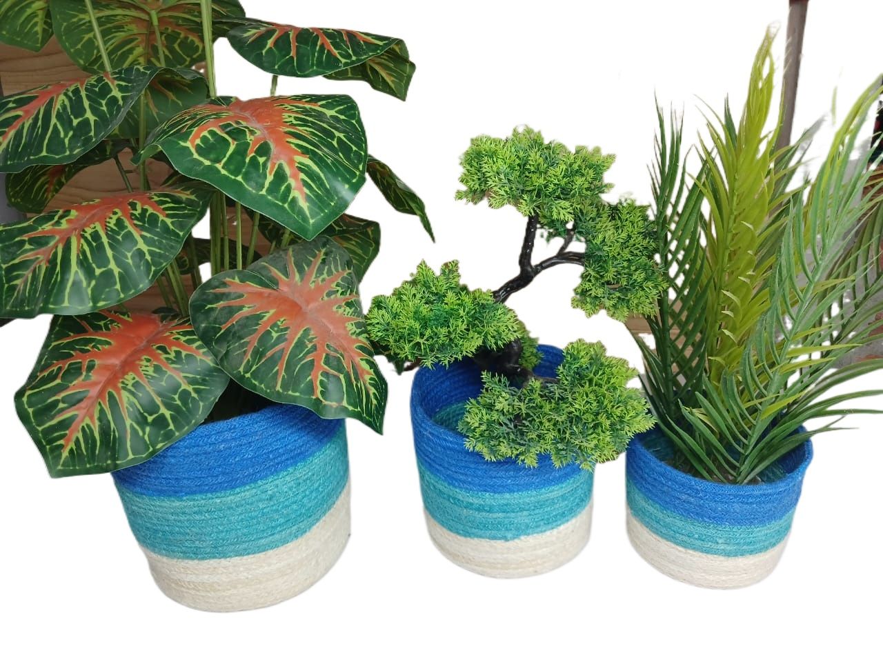 Picture of 3 Pieces set Plant Basket