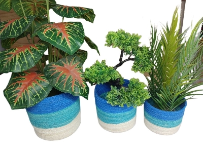 Picture of 3 Pieces set Plant Basket