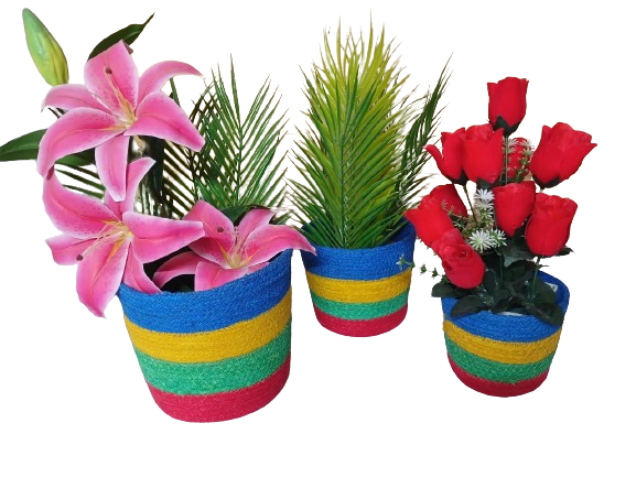 Picture of 3 Piece set Plant Basket