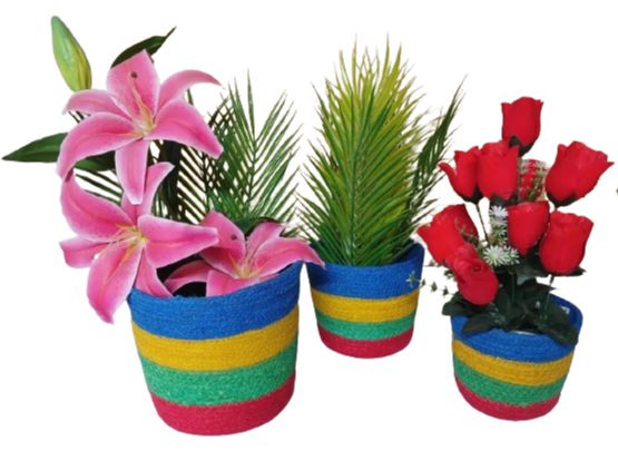 Picture of 3 Piece set Plant Basket