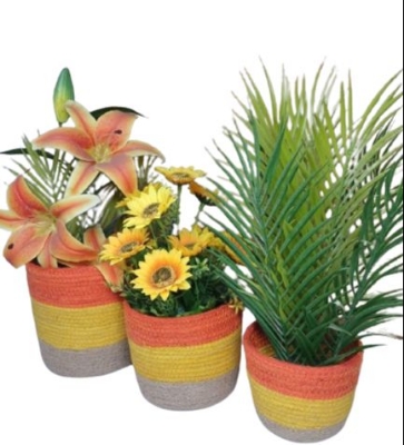Picture of 3 Piece set Plant Basket