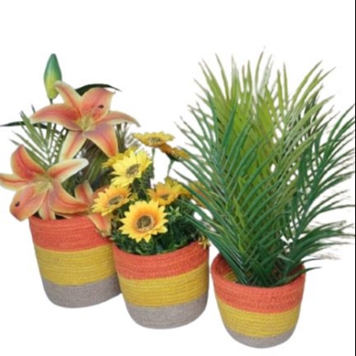 Picture of 3 Piece set Plant Basket