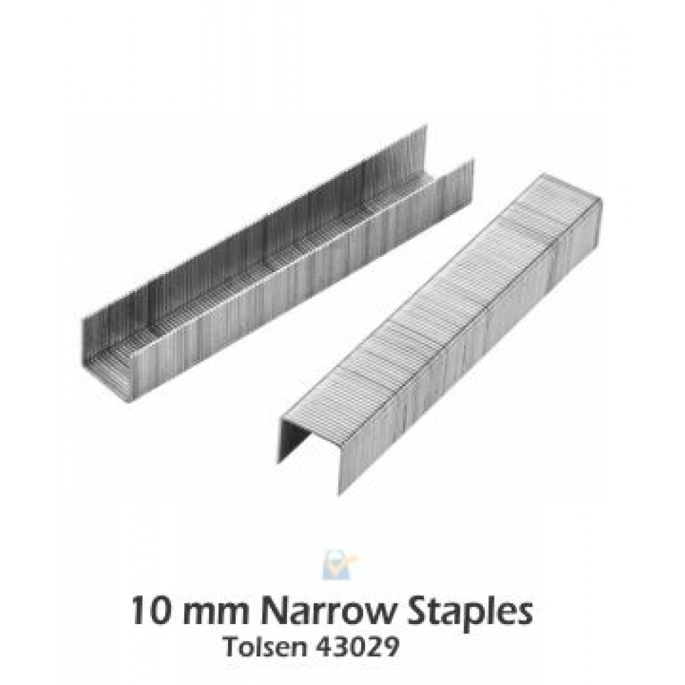 Picture of TOLSEN 3000Pcs Staples Wire Refill (Size: 1.2x10mm) for Wood Plywood chipboard 43029 - Kings Trading