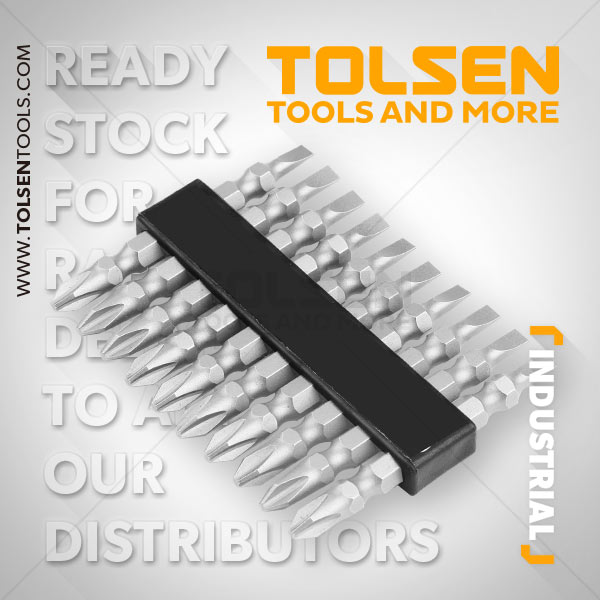 Picture of TOLSEN 10Pcs Double End Screwdriver Bits Set (PH2/SL5.5x65mm) Industrial Quality with Magnet 20361 - Kings Trading