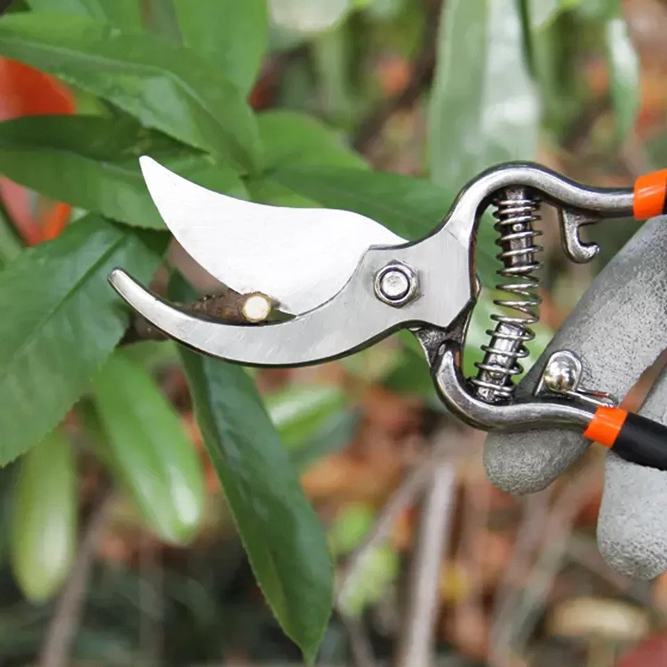 Picture of Harden 8" Garden Pruning Share Garden Pruner (bypass) orange 630401