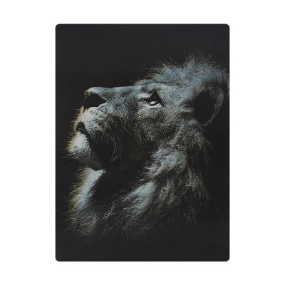 Picture of Lion 3D Sticker - Reflected