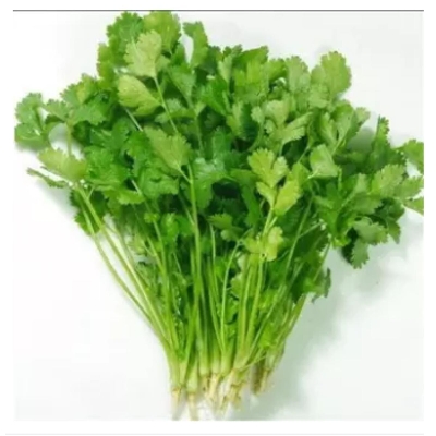 Picture of Dhaniya seed  / coriander seeds 50pic