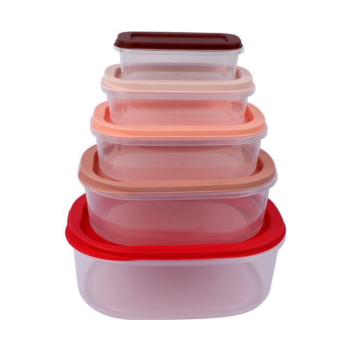 Buy 5-Piece Lid & Lid Rtg Container Set - Durable, Space-Saving Storage at Best Price In Bangladesh