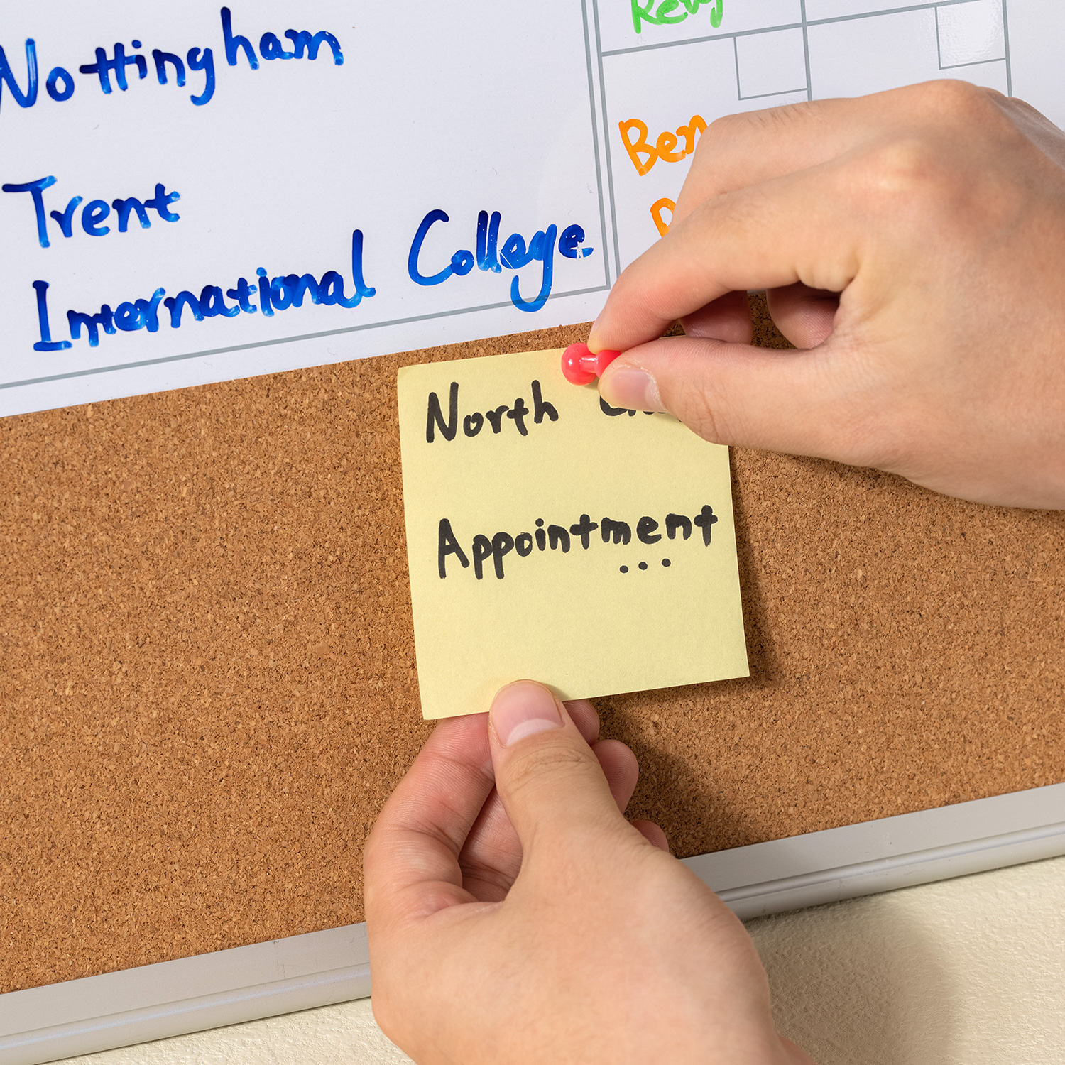 Buy Deli Color Push Pin(Assorted) -E0031 at Best Prices in Bangladesh