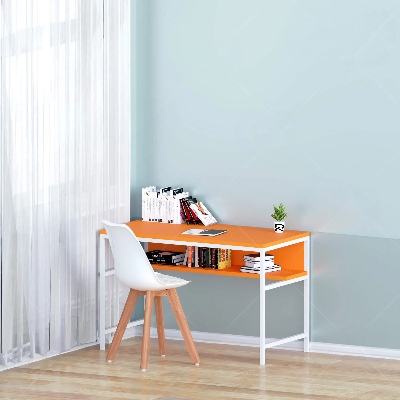 Picture of Exceotional Quality RK Metal Body Kids Reading ,Study and Writing Table with Integrated Bookcase Shelf