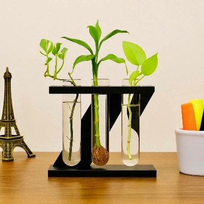 Picture of Plant Holder Vase For Home And Office  Desk Decoration